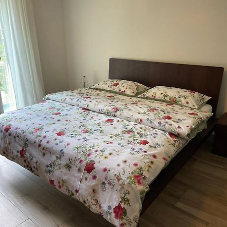 Appartamenti Ramarro Ronco sopra Ascona ภายนอก รูปภาพ
